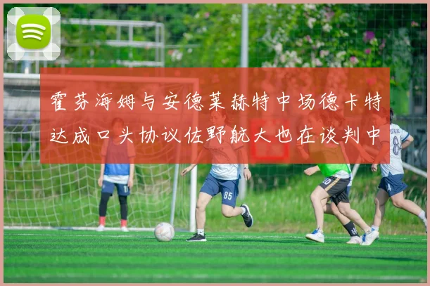 霍芬海姆与安德莱赫特中场德卡特达成口头协议佐野航大也在谈判中
