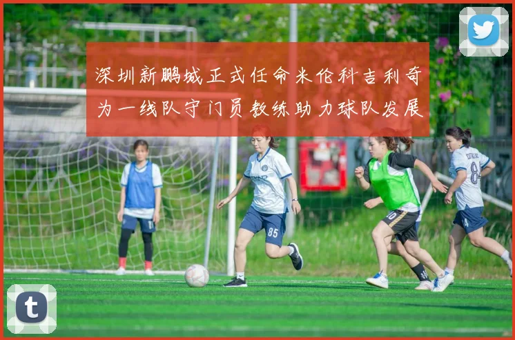 深圳新鹏城正式任命米伦科吉利奇为一线队守门员教练助力球队发展